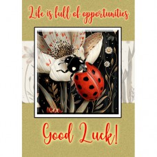 DUTCH LADY DESIGNS GREETING CARD Ladybird Luck